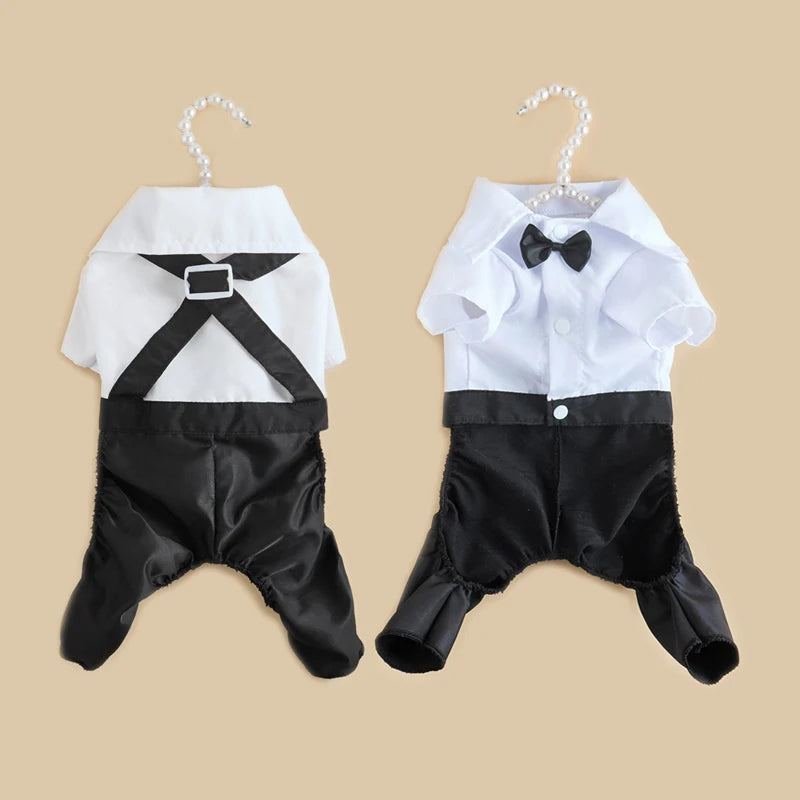 小狗或貓咪禮服